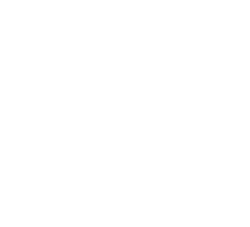 Lake Region Energy Logo White