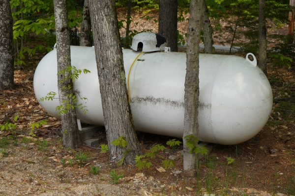 propane storage tank in between tree trunks