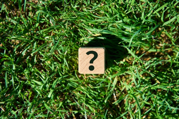 question mark on a wooden cube n top of grass depicting Annual Furnace Tune-Up FAQs